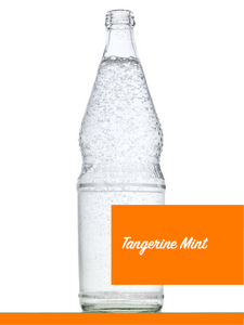 Sparkling Tangerine Mint Soda